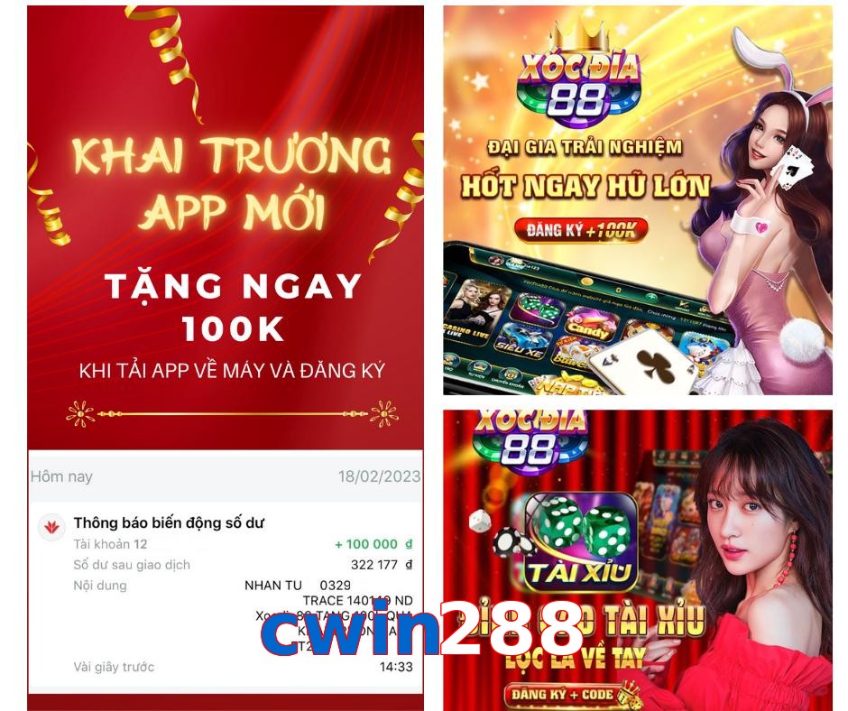 cwin288